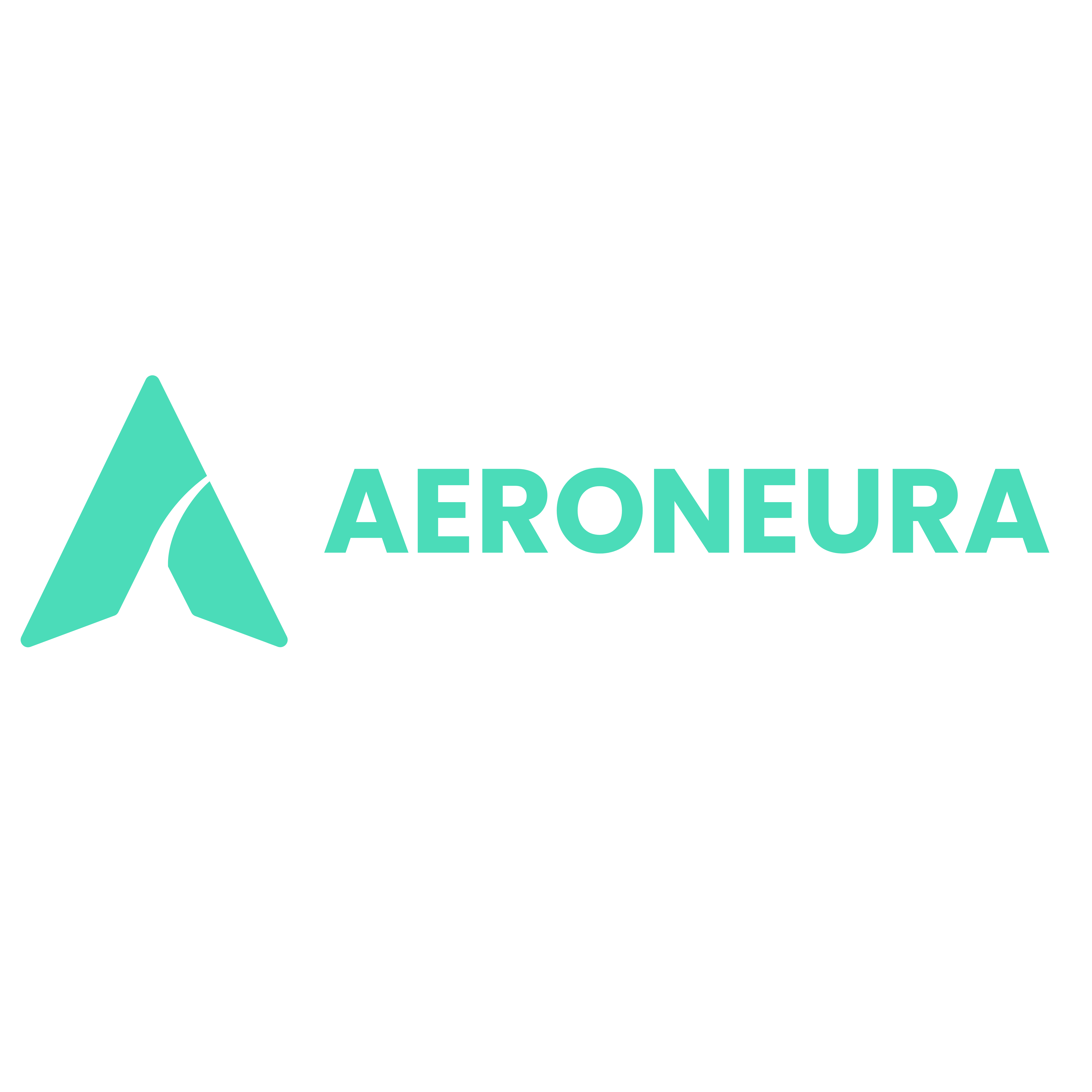 AeroNeura company logo